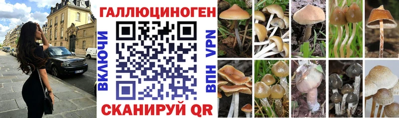 Псилоцибиновые грибы Magic Shrooms как найти наркотики Тюкалинск