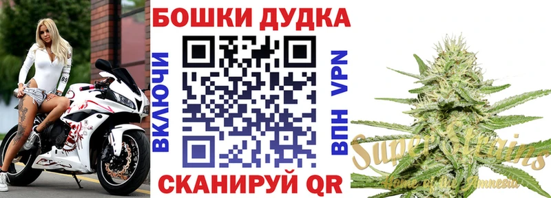 Марихуана сатива  наркотики  Тюкалинск 